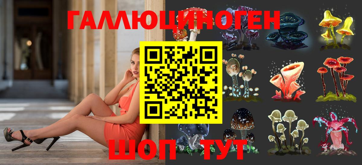 Псилоцибиновые грибы ЛСД Котлас