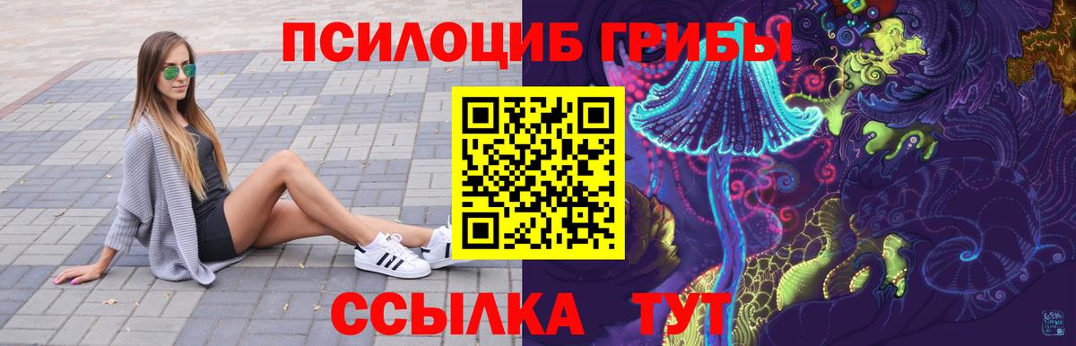 Галлюциногенные грибы GOLDEN TEACHER  Вход с VPN  Котлас  Галлюциногенные грибы Psilocybine cubensis 